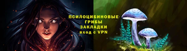 меф Дмитров