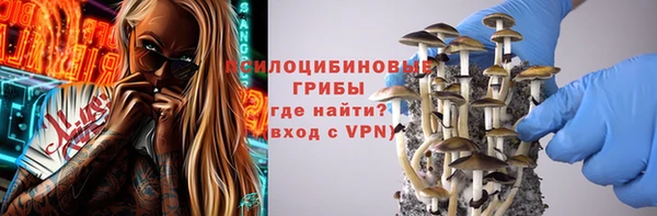 прущий лед Дмитровск